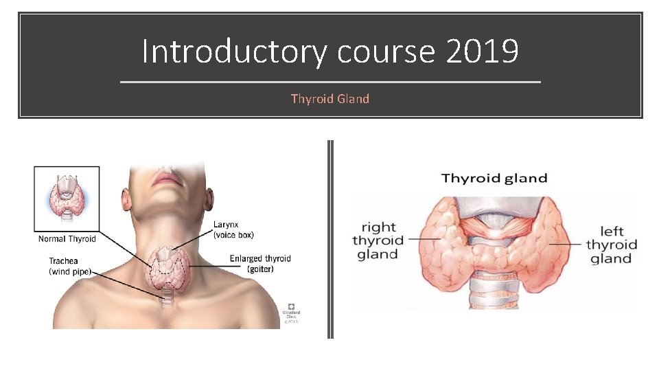Introductory course 2019 Thyroid Gland 