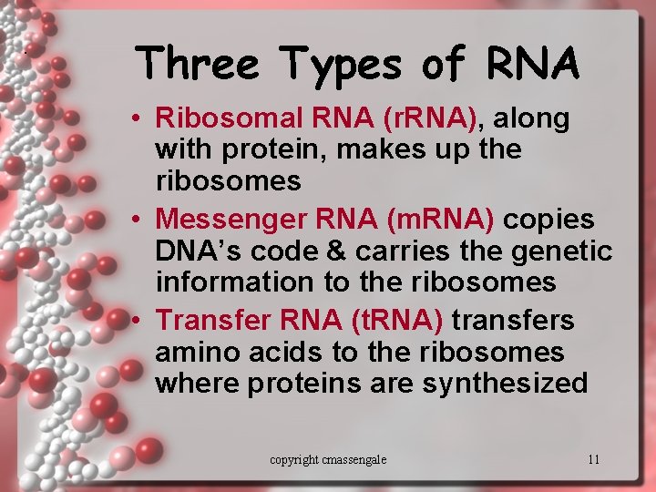 . Three Types of RNA • Ribosomal RNA (r. RNA), along with protein, makes