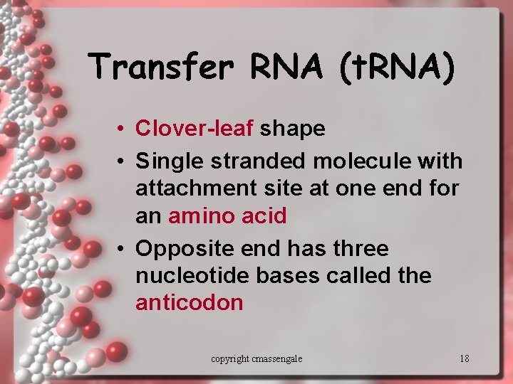 Transfer RNA (t. RNA) • Clover-leaf shape • Single stranded molecule with attachment site