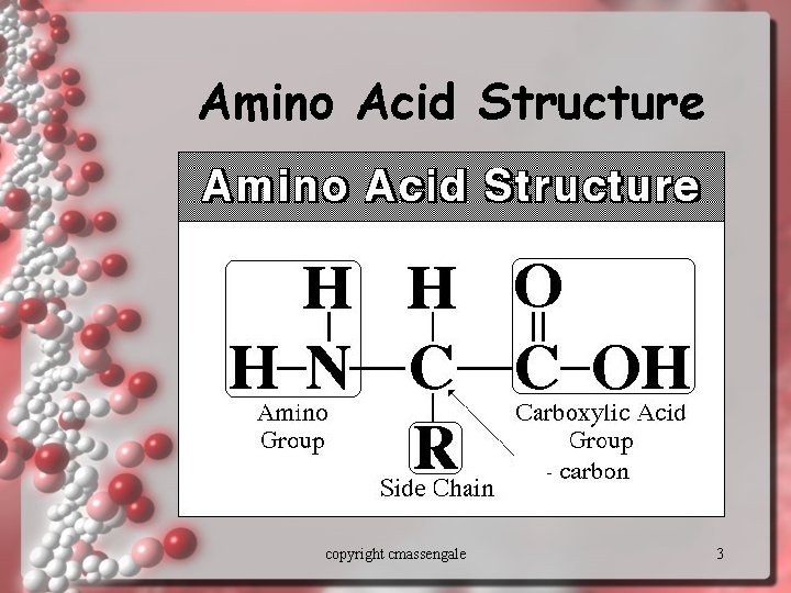 Amino Acid Structure copyright cmassengale 3 