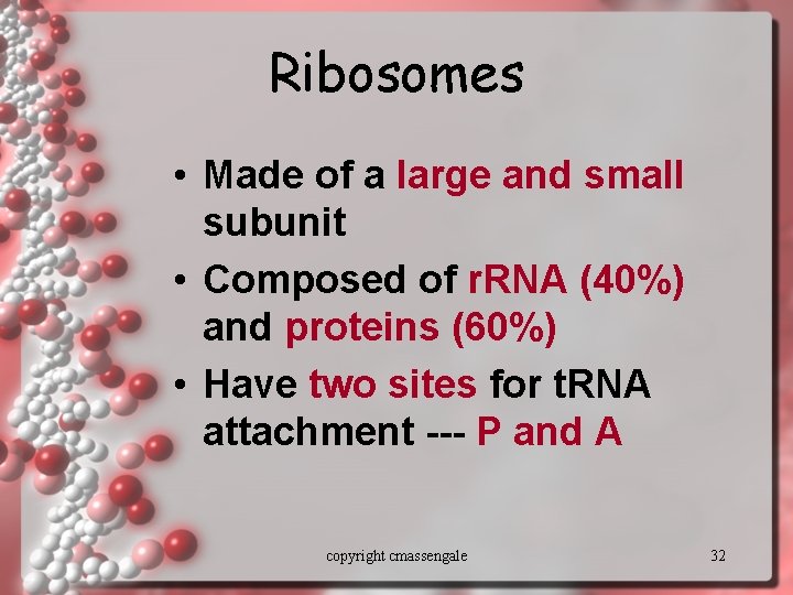 Ribosomes • Made of a large and small subunit • Composed of r. RNA