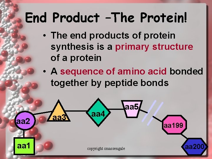 End Product –The Protein! • The end products of protein synthesis is a primary