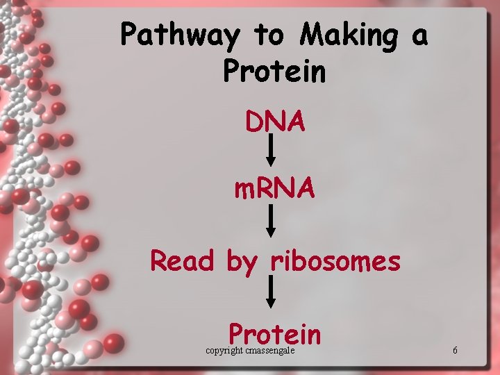 Pathway to Making a Protein DNA m. RNA Read by ribosomes Protein copyright cmassengale