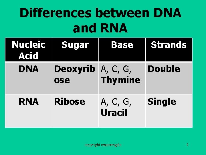 Differences between DNA and RNA Nucleic Sugar Base Strands Acid DNA Deoxyrib A, C,