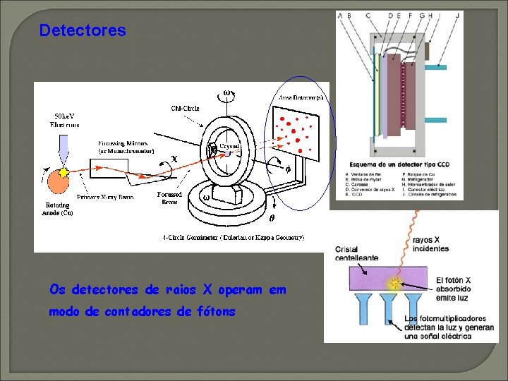 Detectores Os detectores de raios X operam em modo de contadores de fótons Detectores Os detectores de raios X operam em modo de contadores de fótons