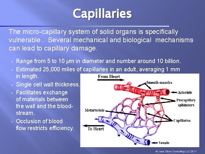 Capillaries The micro-capillary system of solid organs is specifically vulnerable. Several mechanical and biological