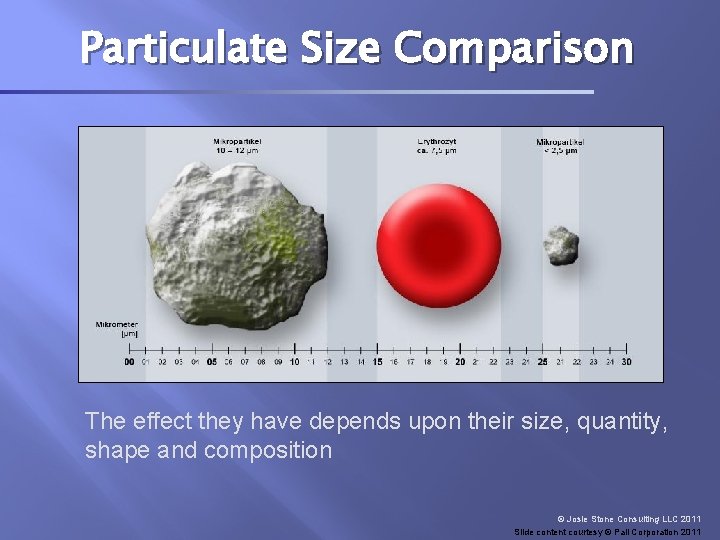 Particulate Size Comparison The effect they have depends upon their size, quantity, shape and