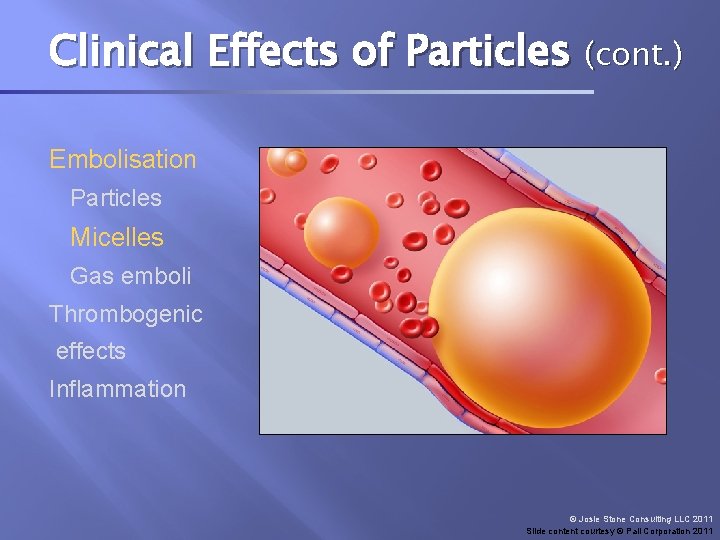 Clinical Effects of Particles (cont. ) Embolisation Particles Micelles Gas emboli Thrombogenic effects Inflammation