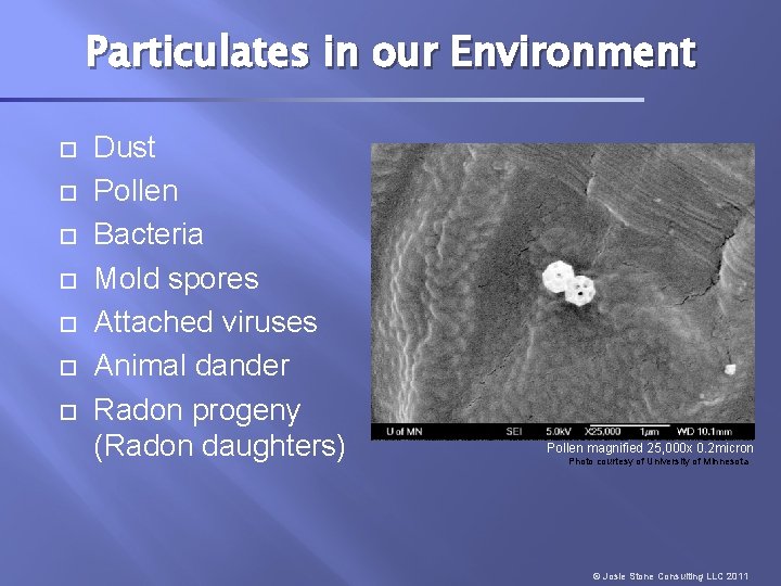 Particulates in our Environment Dust Pollen Bacteria Mold spores Attached viruses Animal dander Radon