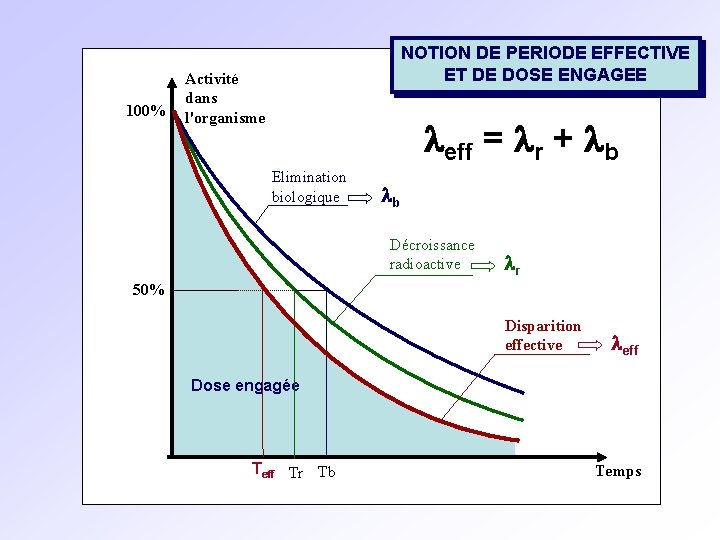 100% NOTION DE PERIODE EFFECTIVE ET DE DOSE ENGAGEE Activité dans l'organisme leff =