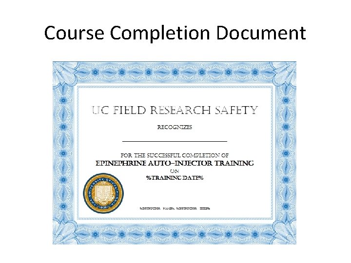 Course Completion Document 