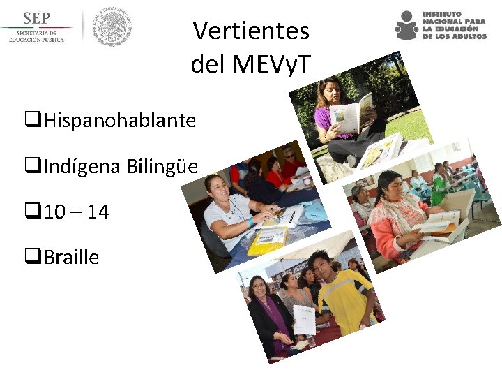 Vertientes del MEVy. T q. Hispanohablante q. Indígena Bilingüe q 10 – 14 q.