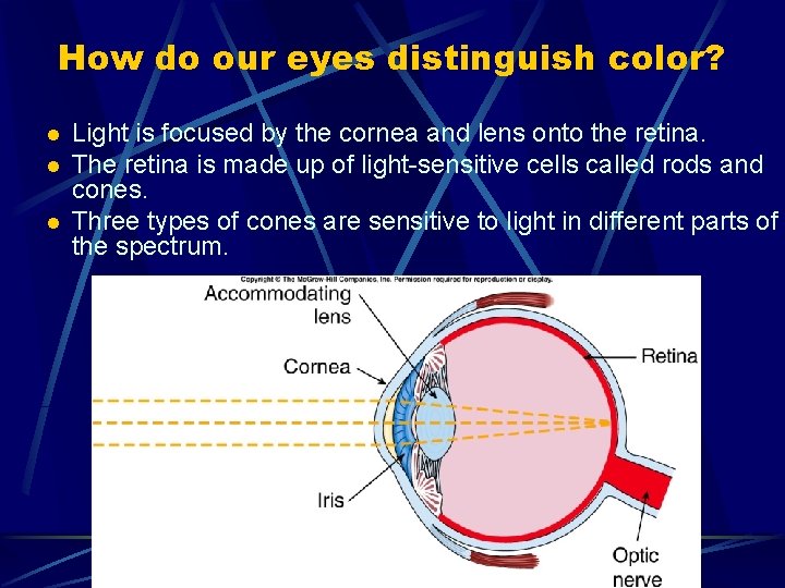 How do our eyes distinguish color? l l l Light is focused by the How do our eyes distinguish color? l l l Light is focused by the