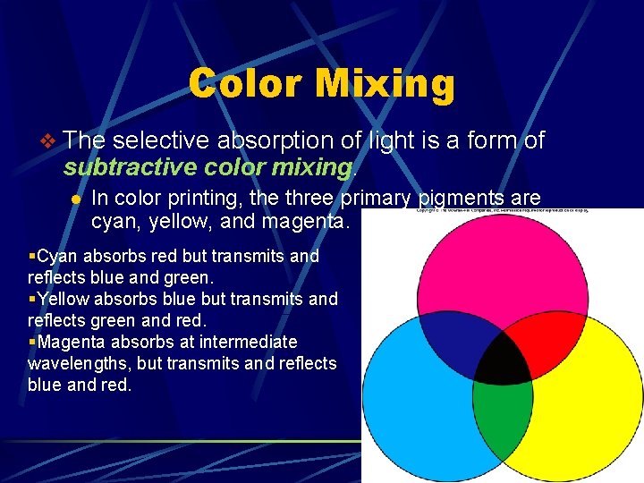 Color Mixing v The selective absorption of light is a form of subtractive color Color Mixing v The selective absorption of light is a form of subtractive color