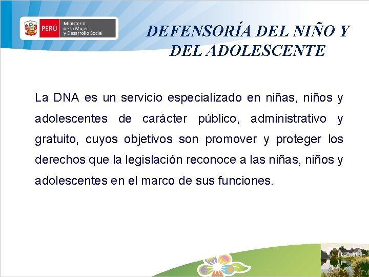 DEFENSORÍA DEL NIÑO Y DEL ADOLESCENTE La DNA es un servicio especializado en niñas,