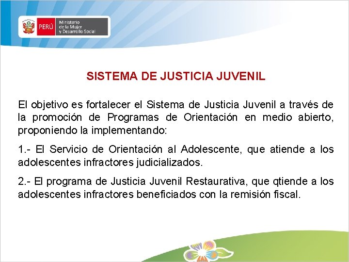 SISTEMA DE JUSTICIA JUVENIL El objetivo es fortalecer el Sistema de Justicia Juvenil a