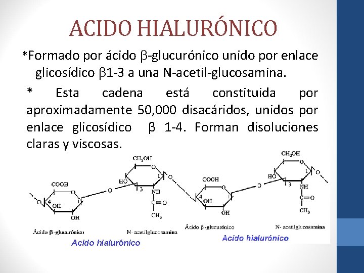 ACIDO HIALURÓNICO *Formado por ácido -glucurónico unido por enlace glicosídico 1 -3 a una