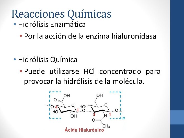 Reacciones Químicas • Hidrólisis Enzimática • Por la acción de la enzima hialuronidasa •