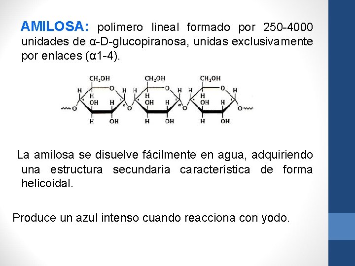 AMILOSA: polímero lineal formado por 250 -4000 unidades de α-D-glucopiranosa, unidas exclusivamente por enlaces