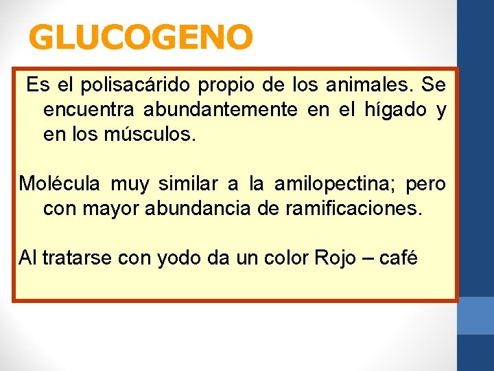 GLUCOGENO Es el polisacárido propio de los animales. Se encuentra abundantemente en el hígado