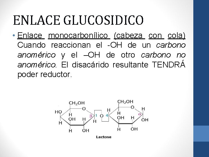 ENLACE GLUCOSIDICO • Enlace monocarbonílico (cabeza con cola) Cuando reaccionan el -OH de un