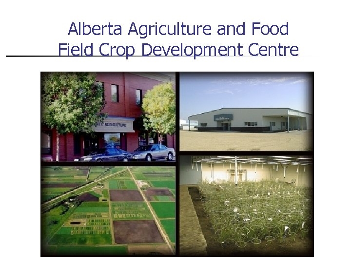 Alberta Agriculture and Food Field Crop Development Centre 