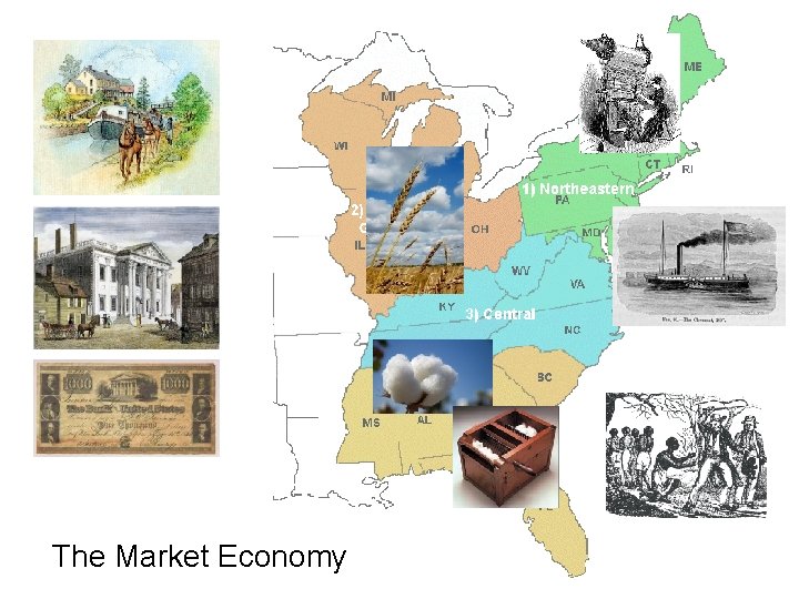 The Market Economy 
