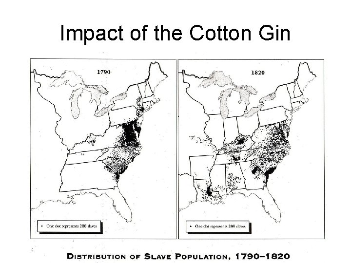 Impact of the Cotton Gin 