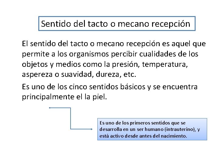 Sentido del tacto o mecano recepción El sentido del tacto o mecano recepción es Sentido del tacto o mecano recepción El sentido del tacto o mecano recepción es