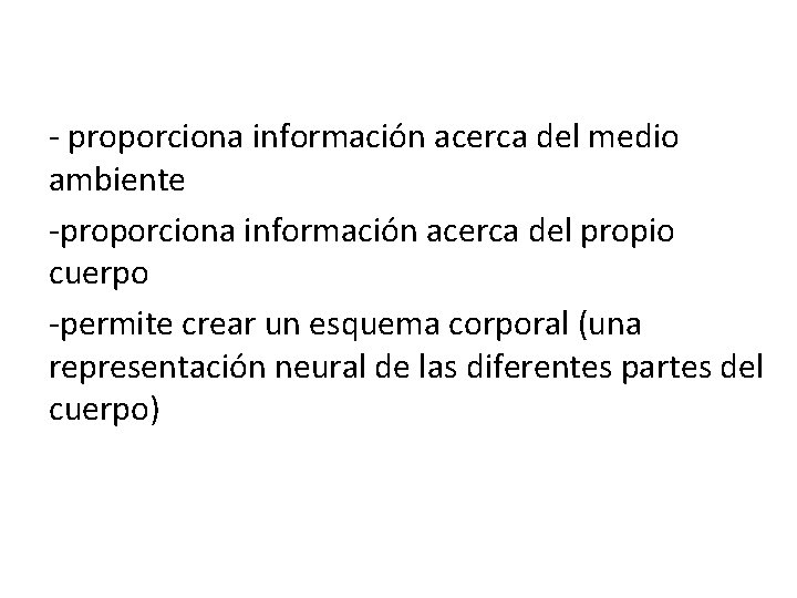 - proporciona información acerca del medio ambiente -proporciona información acerca del propio cuerpo -permite - proporciona información acerca del medio ambiente -proporciona información acerca del propio cuerpo -permite