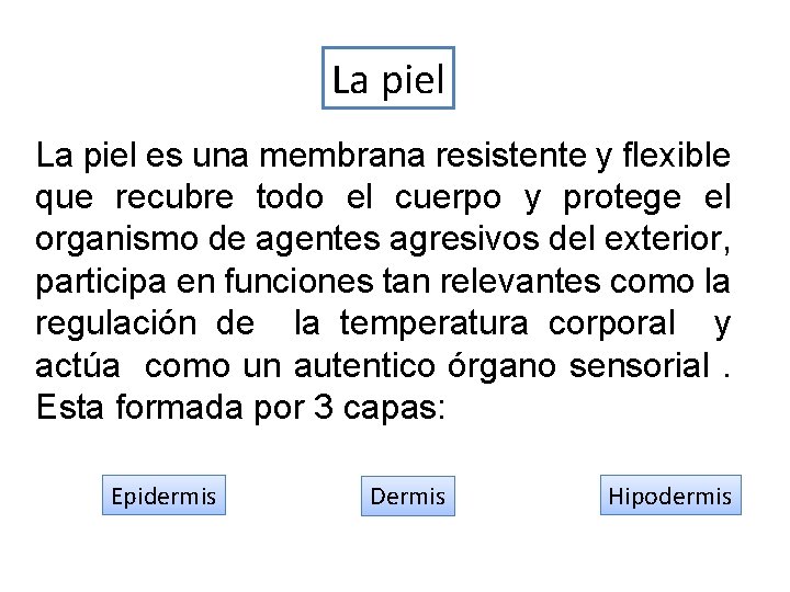 La piel es una membrana resistente y flexible que recubre todo el cuerpo y La piel es una membrana resistente y flexible que recubre todo el cuerpo y