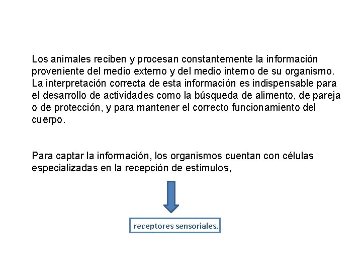 Los animales reciben y procesan constantemente la información proveniente del medio externo y del Los animales reciben y procesan constantemente la información proveniente del medio externo y del