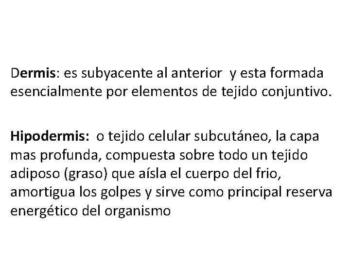Dermis: es subyacente al anterior y esta formada esencialmente por elementos de tejido conjuntivo. Dermis: es subyacente al anterior y esta formada esencialmente por elementos de tejido conjuntivo.