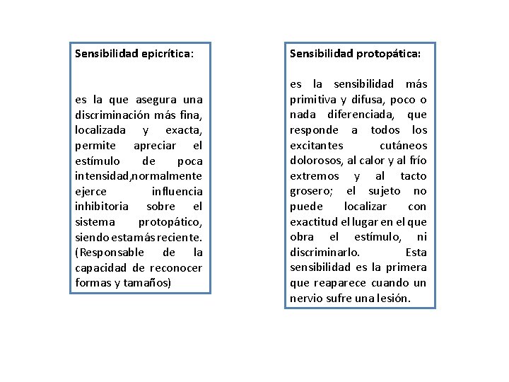 Sensibilidad epicrítica: Sensibilidad protopática: es la que asegura una discriminación más fina, localizada y Sensibilidad epicrítica: Sensibilidad protopática: es la que asegura una discriminación más fina, localizada y