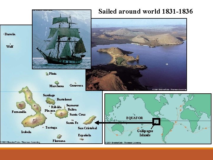 Sailed around world 1831 -1836 Darwin Wolf Pinta Marchena Genovesa Santiago Bartolomé Fernandia Råbida