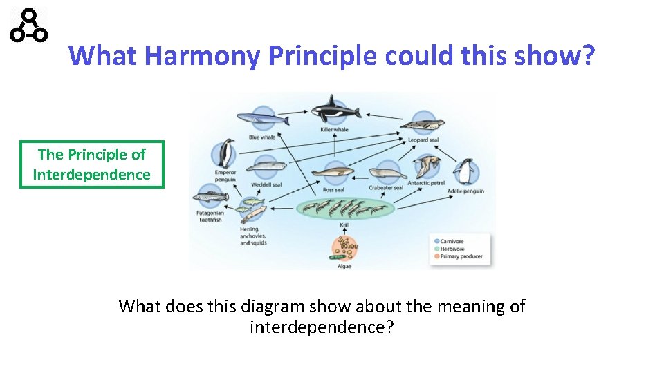 What Harmony Principle could this show? The Principle of Interdependence What does this diagram