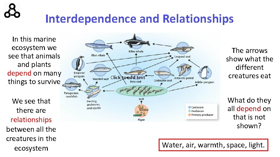 Interdependence and Relationships In this marine ecosystem we see that animals and plants depend