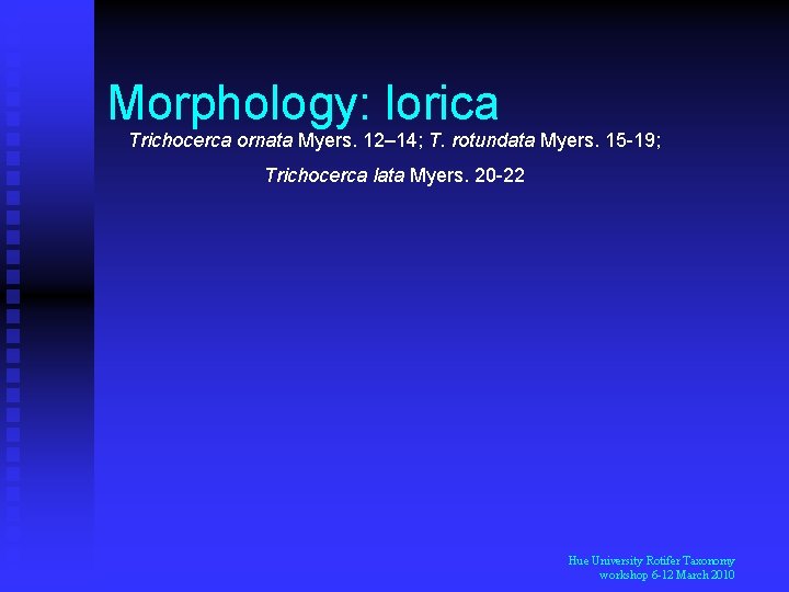 Morphology: lorica Trichocerca ornata Myers. 12– 14; T. rotundata Myers. 15 -19; Trichocerca lata