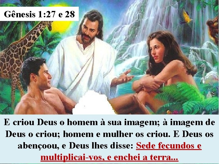 Gênesis 1: 27 e 28 E criou Deus o homem à sua imagem; à Gênesis 1: 27 e 28 E criou Deus o homem à sua imagem; à