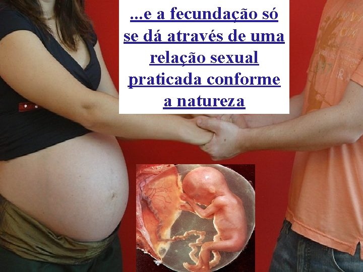 . . . e a fecundação só se dá através de uma relação sexual . . . e a fecundação só se dá através de uma relação sexual