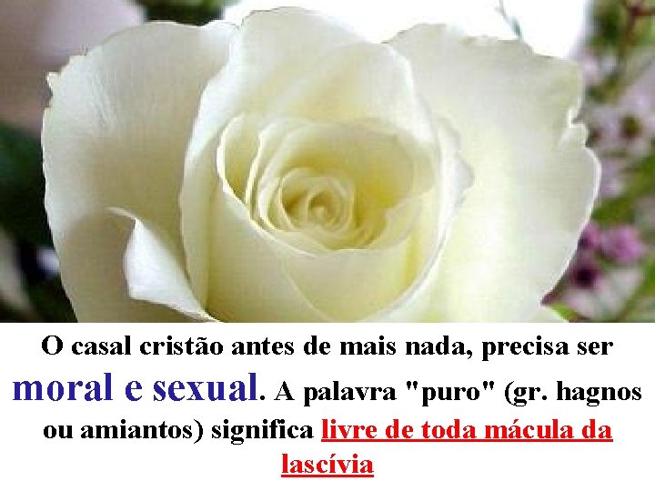 O casal cristão antes de mais nada, precisa ser moral e sexual. A palavra O casal cristão antes de mais nada, precisa ser moral e sexual. A palavra