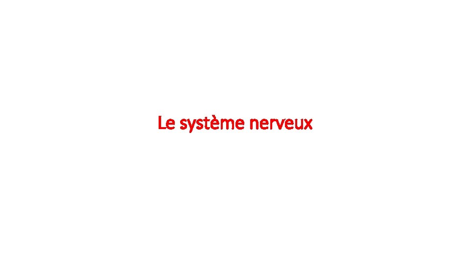 Le système nerveux 