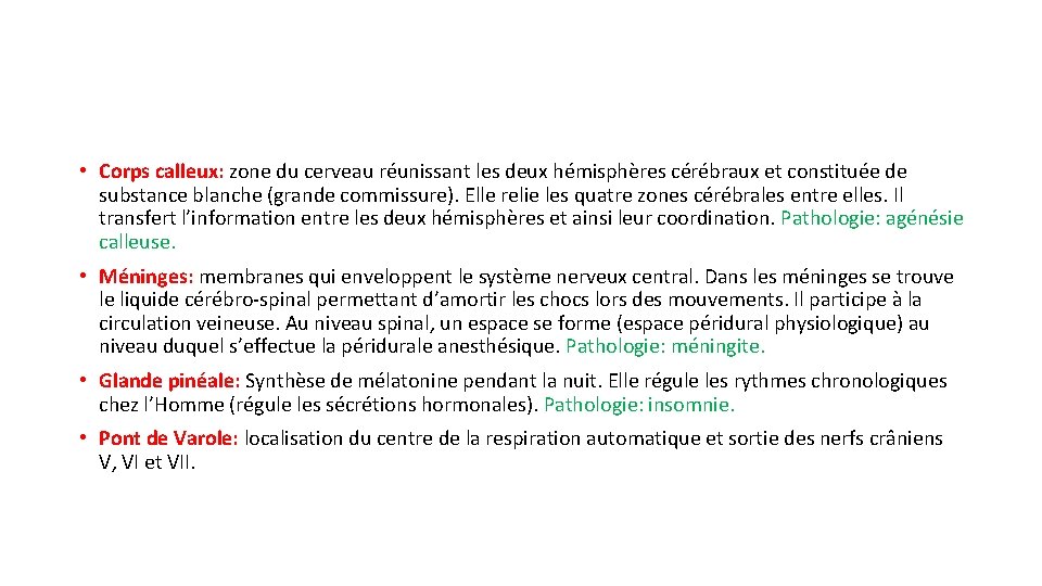  • Corps calleux: zone du cerveau réunissant les deux hémisphères cérébraux et constituée