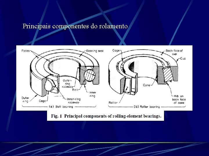 Principais componentes do rolamento 