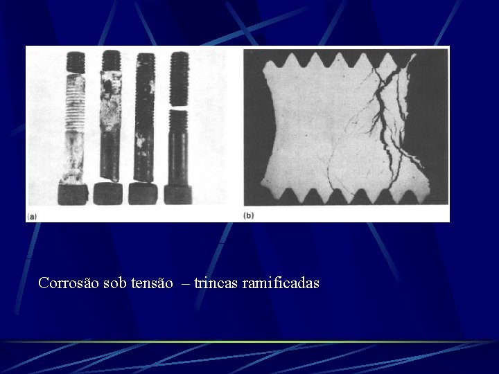 Corrosão sob tensão – trincas ramificadas 
