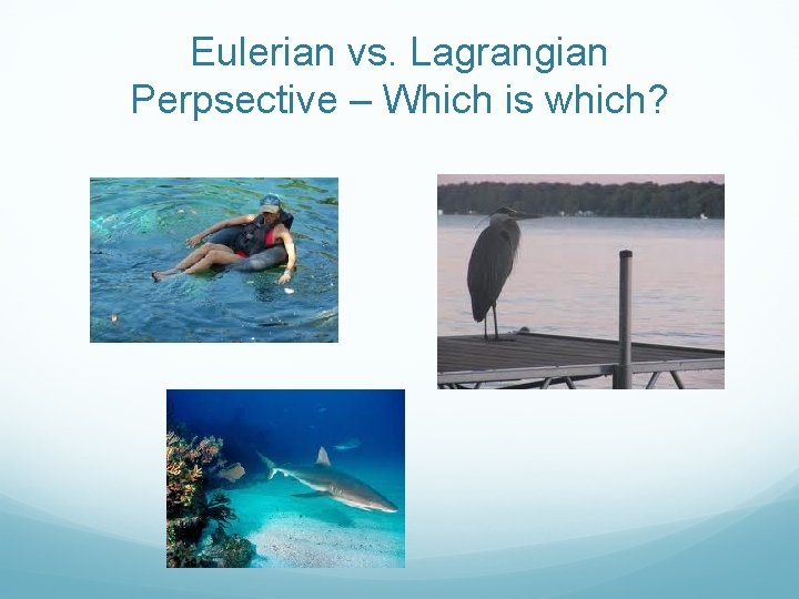 Eulerian vs. Lagrangian Perpsective – Which is which? 