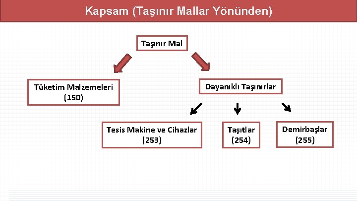 Kapsam (Taşınır Mallar Yönünden) Taşınır Mal Tüketim Malzemeleri (150) Tesis Makine ve Cihazlar (253) Kapsam (Taşınır Mallar Yönünden) Taşınır Mal Tüketim Malzemeleri (150) Tesis Makine ve Cihazlar (253)