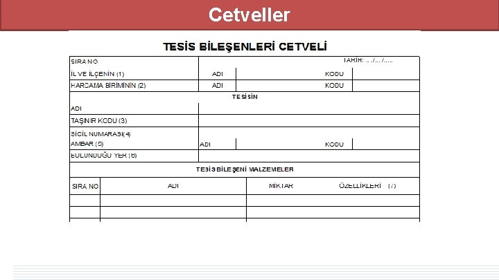 Cetveller Cetveller