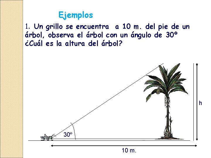 Ejemplos 1. Un grillo se encuentra a 10 m. del pie de un árbol,