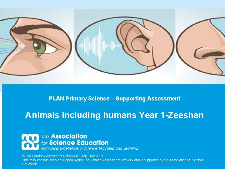 PLAN Primary Science – Supporting Assessment Animals including humans Year 1 -Zeeshan © Pan